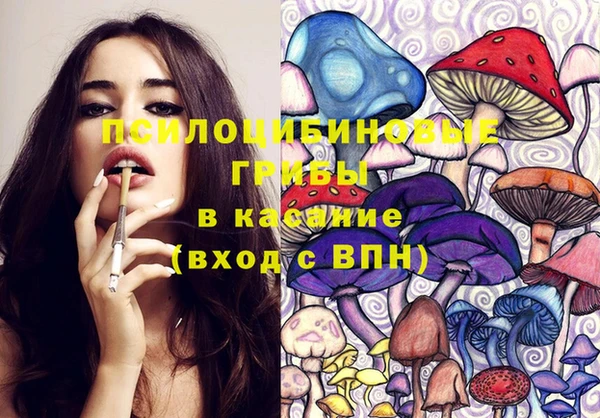 гашик Армянск